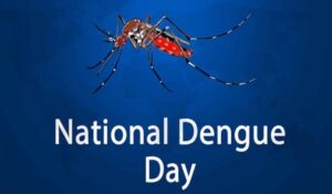 National Dengue Day 2024: तारीख, इतिहास, महत्व और इससे लक्षण के बारे में सभी जानकारी