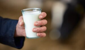 Milk: अजीर्ण दूध पीने से मिल सकता है पक्षी इन्फ्लूएंजा, नई ट्रेंड से सावधान रहें