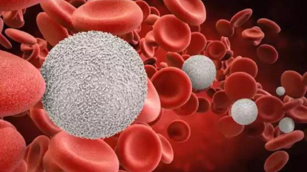 Thalassemia minor: यह गंभीर रक्त संक्रमण बच्चों को कैसे प्रभावित करता है और इसका उपचार क्या है?