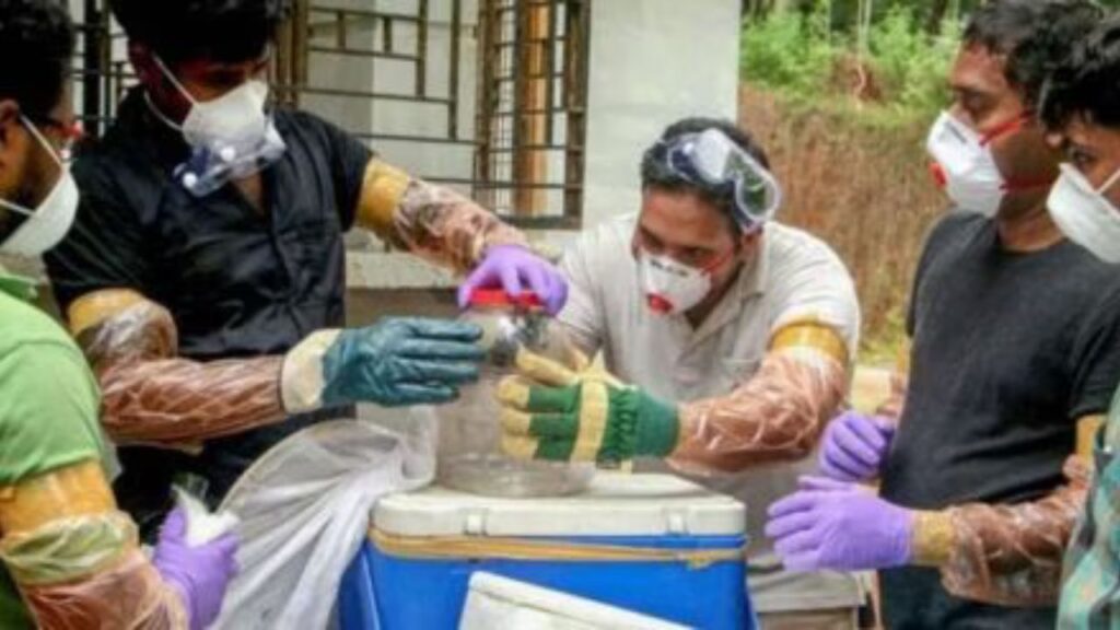 Nipah Virus: केरल में निपाह वायरस से 14 वर्षीय लड़के की मौत, लक्षण पहचानते ही डॉक्टर से मिलें