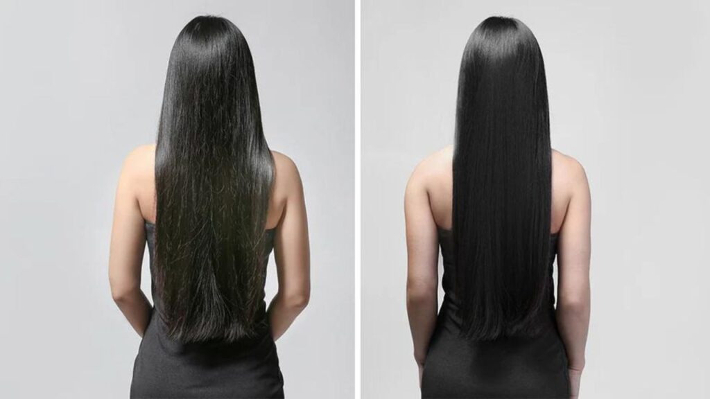 Hair Care Tips: सूखे बालों की स्थिति में सुधार के लिए इन बीजों को आहार में शामिल करें, बालों को जड़ों से मजबूत बनाएँ