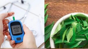 Diabetes Desi Remedies: ये आयुर्वेदिक टिप्स रक्त शर्करा को नियंत्रित करने में सहायक