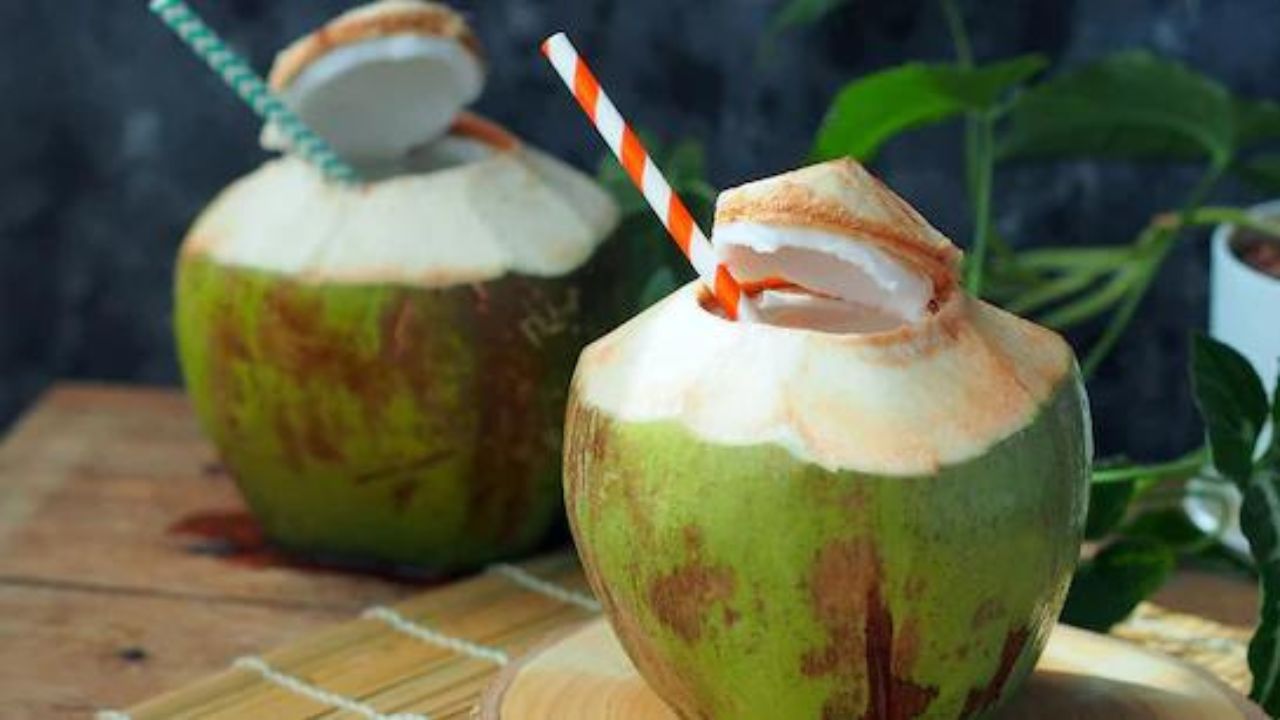 Benefits of Coconut Water: खाली पेट हर सुबह नारियल पानी पीएं, फिर देखिए कितनी स्वास्थ्य समस्याएँ दूर होंगी