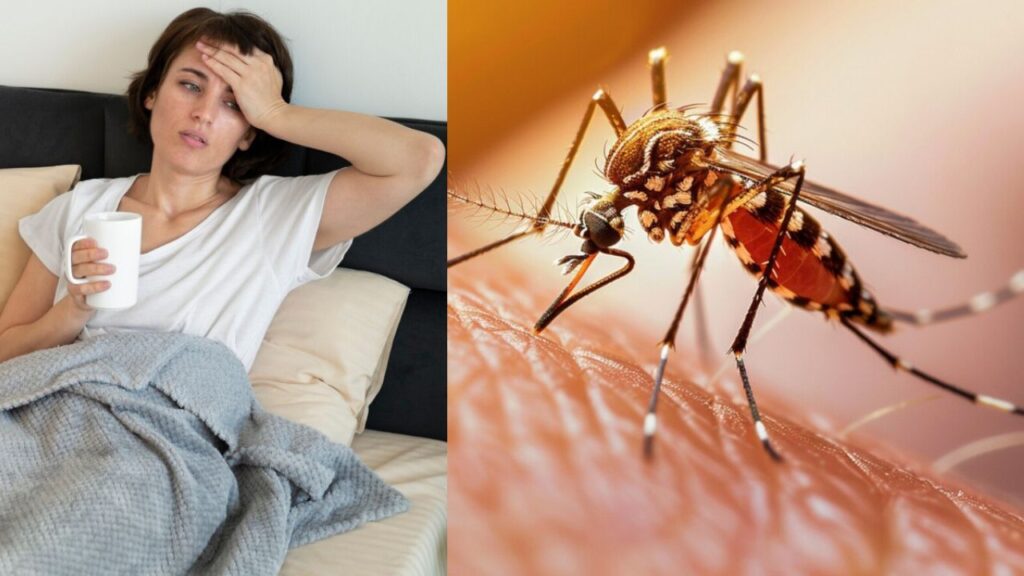 Dengue New Symptoms: पेरासिटामोल का ओवरडोज बन रहा खतरनाक, जानें जोखिम