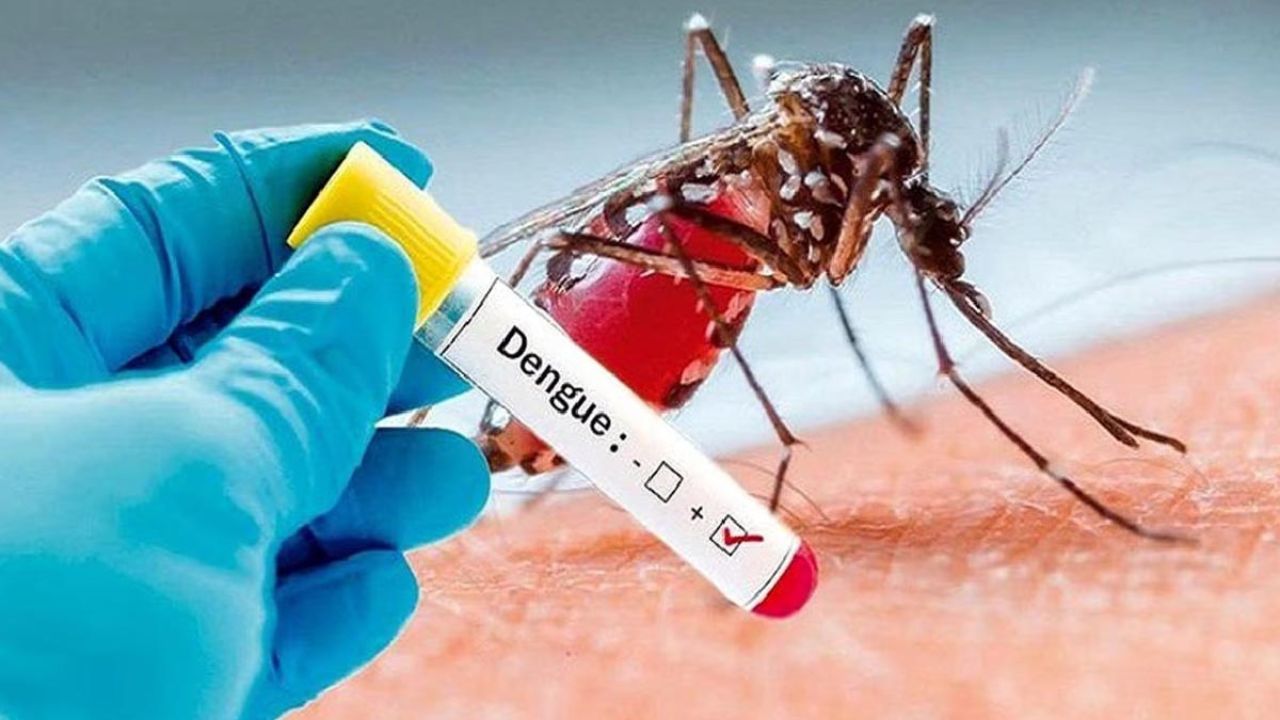 Dengue New Symptoms: पेरासिटामोल का ओवरडोज बन रहा खतरनाक, जानें जोखिम