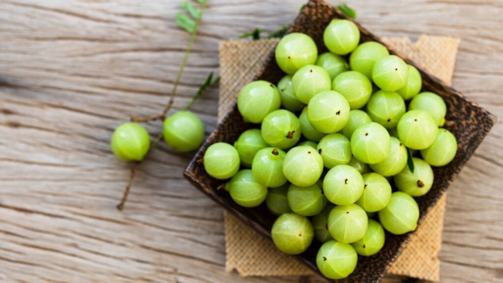 Amla Benefits: यह छोटा खट्टा फल है गुणों का खजाना, रोज़ खाने से मिलेंगे कई फायदे