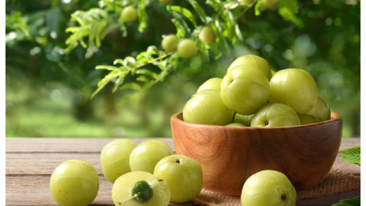 Amla Benefits: यह छोटा खट्टा फल है गुणों का खजाना, रोज़ खाने से मिलेंगे कई फायदे