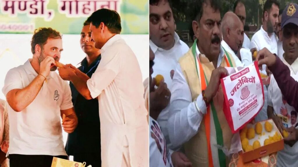 Haryana elections: जलेबी का सियासी सफर, क्या राहुल गांधी ने बदल दी किस्मत?