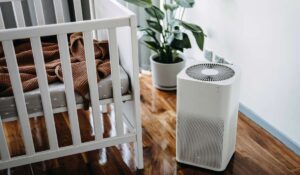 Best Air Purifier Filters: कौन सा फ़िल्टर है सबसे बेहतरीन एयर प्यूरीफायर के लिए?