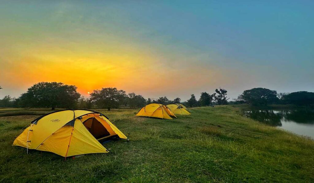 Pench National Park: पेंच नेशनल पार्क में ट्रेकिंग का मजा, पहाड़ों से कहीं ज्यादा रोमांचक