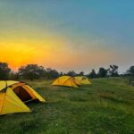 Pench National Park: पेंच नेशनल पार्क में ट्रेकिंग का मजा, पहाड़ों से कहीं ज्यादा रोमांचक