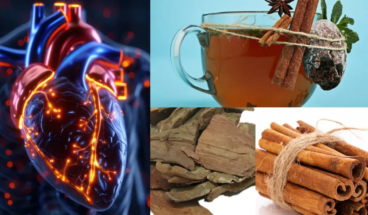 Reduce Heart Blockage: दिल की सेहत के लिए सर्दियों में रामदेव का यह काढ़ा जरूर पिएं