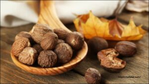 Nutmeg water: सेहत के लिए वरदान, जानें इसके अद्भुत फायदे