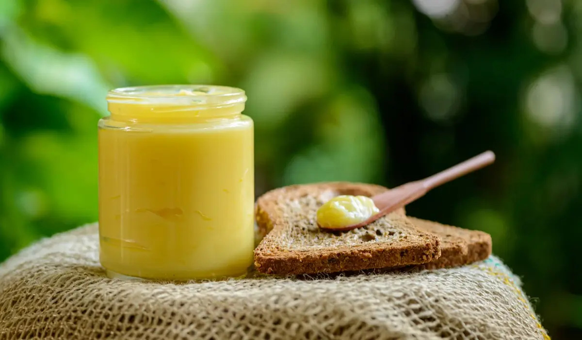 Desi Ghee in Winter: सर्दियों में घी खाने से क्या सच में नसों में जमने लगता है? जानें पूरी जानकारी